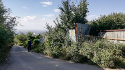 Slide Image