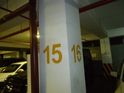 Slide Image